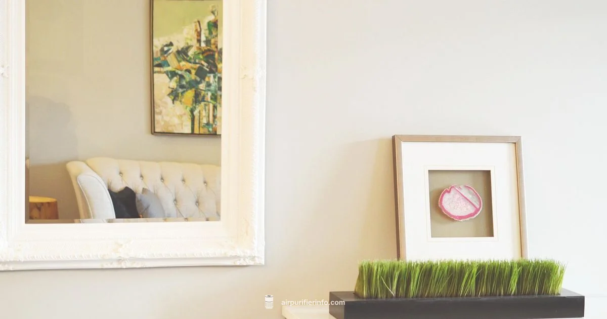 Philips Air Purifier 800 Review - Air Purifier Info