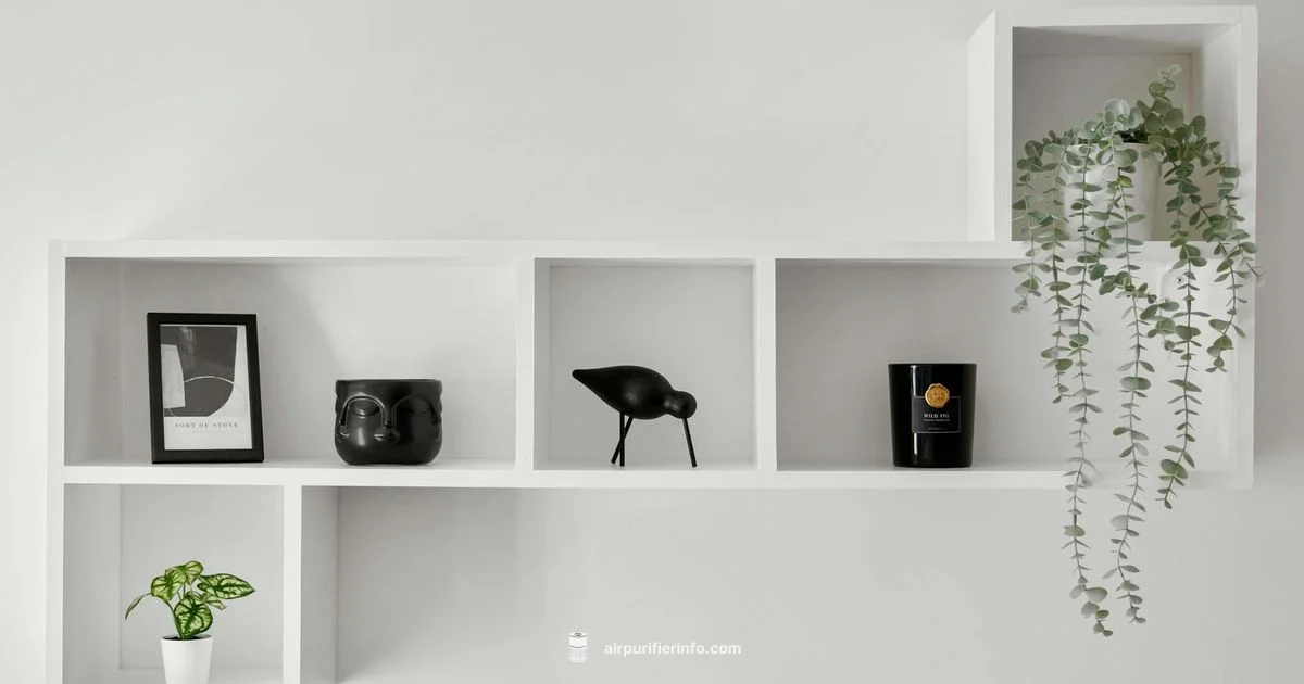 Home Purifier Guide - Air Purifier Info