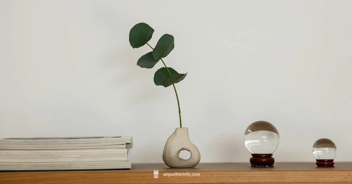 Cleaner Look for Purifiers Cleaner Look for Purifiers - Air Purifier Info