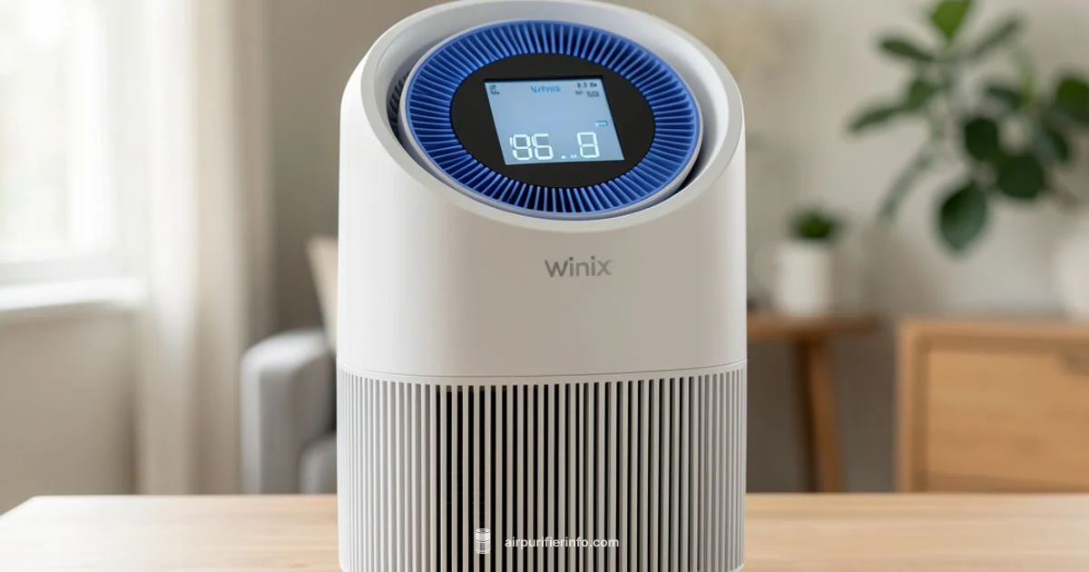 PlasmaWave Setup - Air Purifier Info