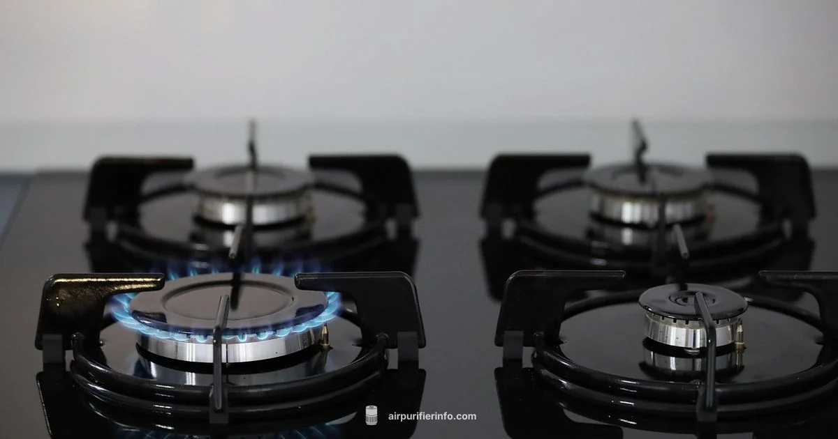 Gas Stove Purifier Gas Stove Purifier - Air Purifier Info