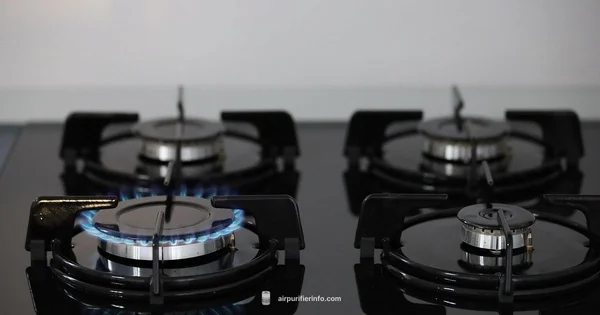 Gas Stove Purifier - Air Purifier Info