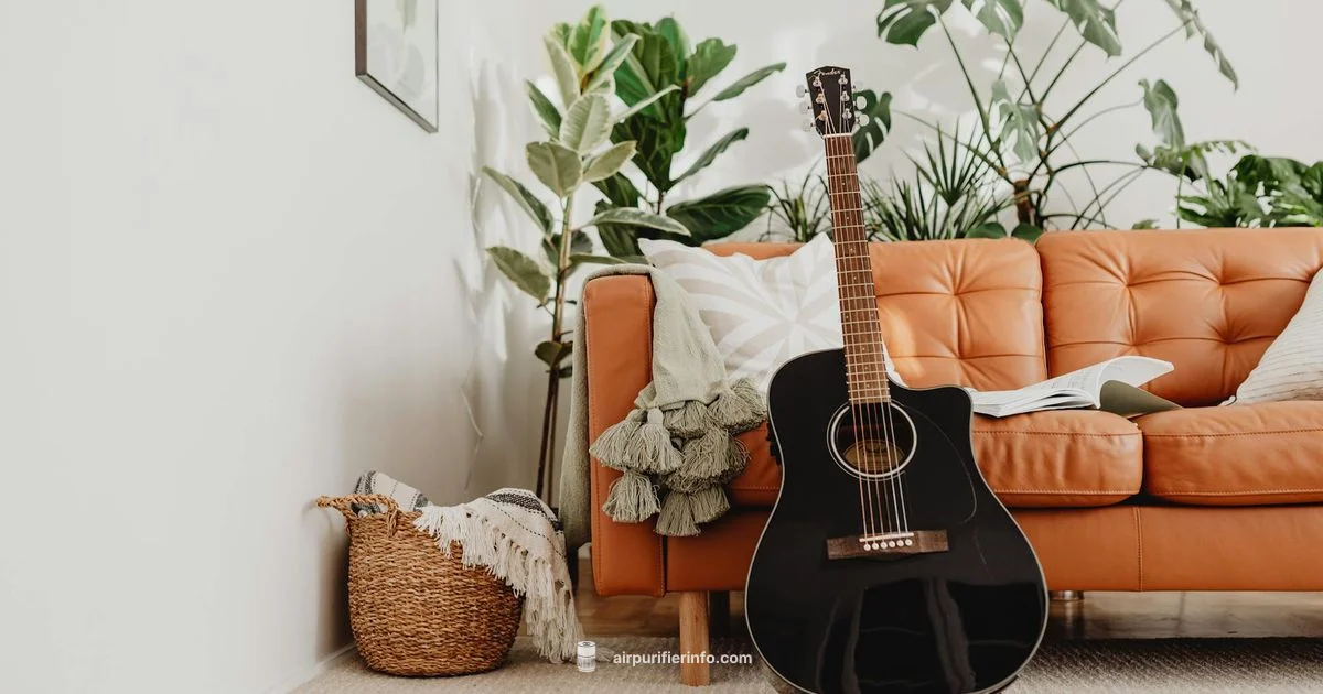 Rainbow Scents Rainbow Scents - Air Purifier Info