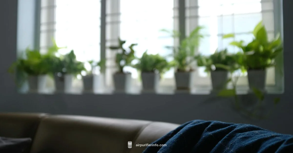 Blue Pure 211 Filter - Air Purifier Info