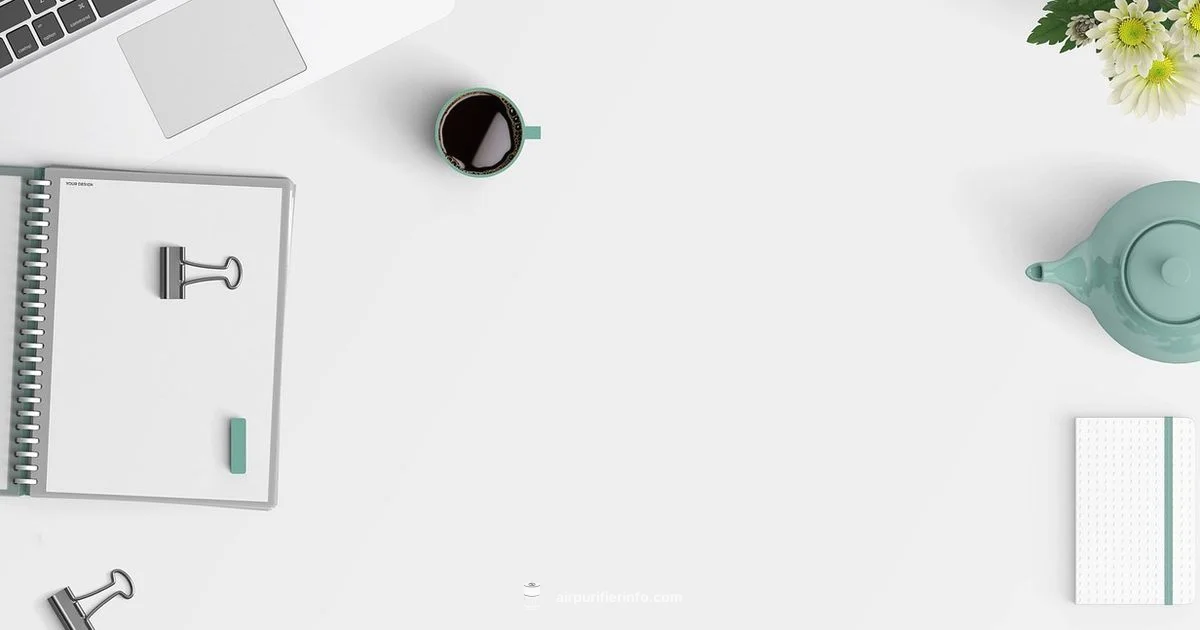 Launch Your Purifier Brand Launch Your Purifier Brand - Air Purifier Info