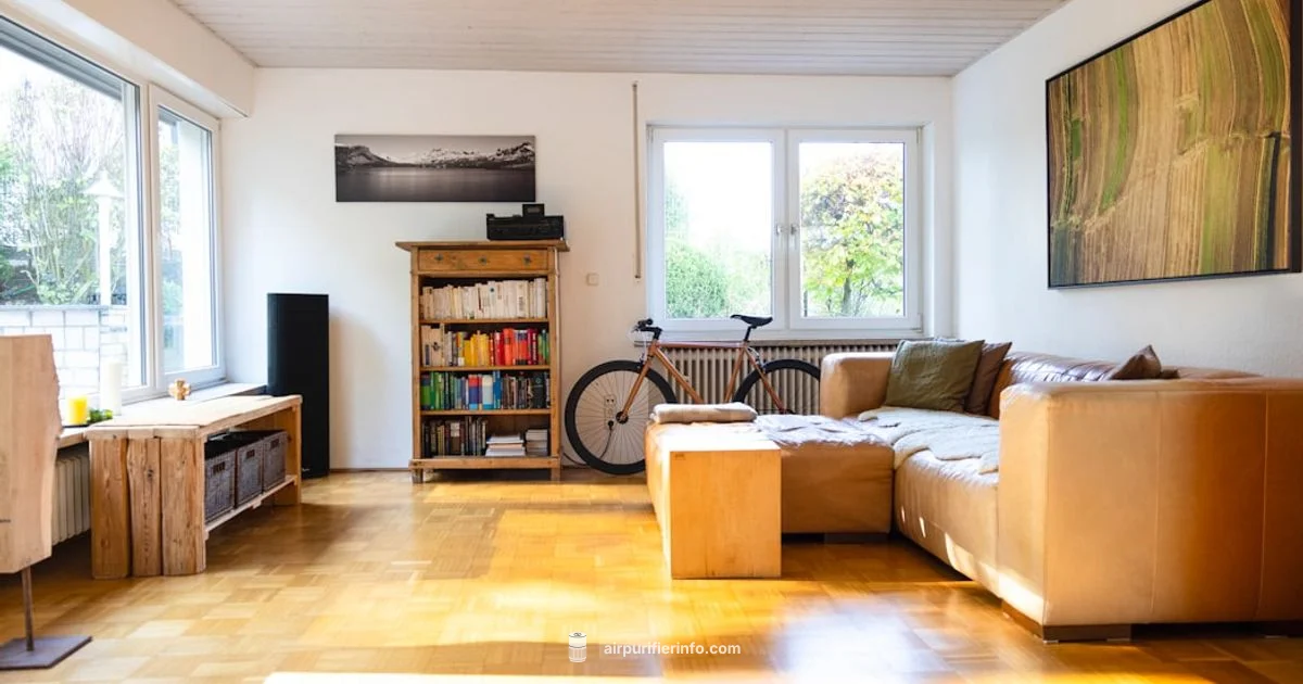 Top Budget Picks - Air Purifier Info