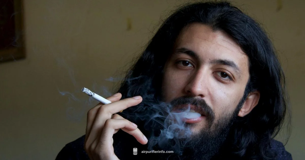 Cigar Smoke Purifier Guide - Air Purifier Info