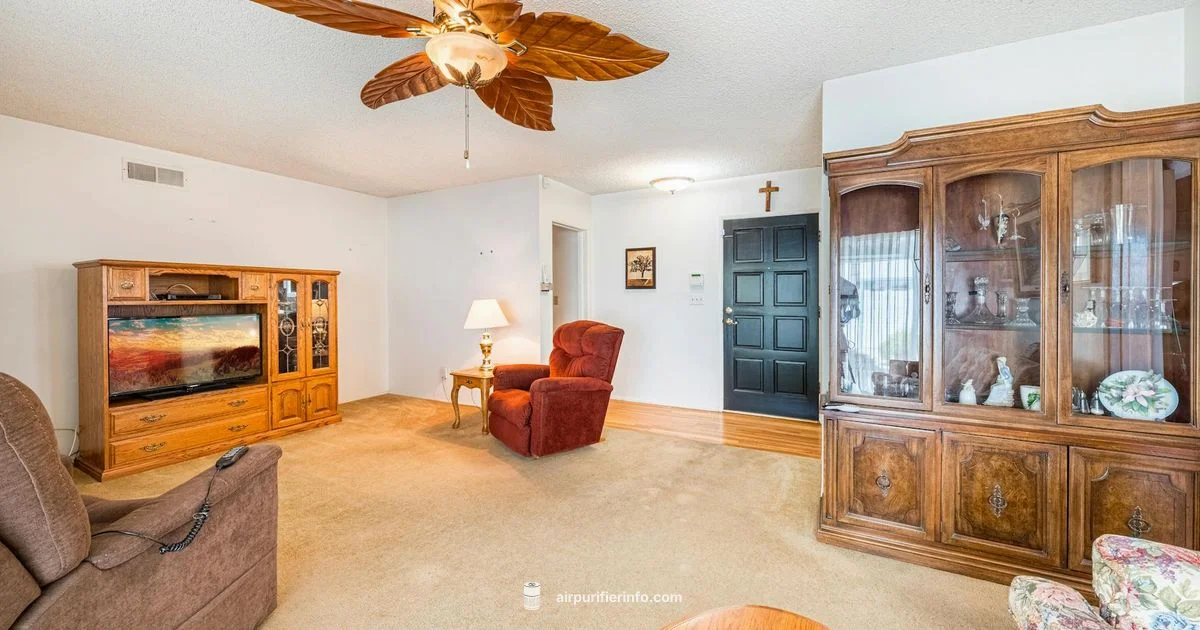 Dyson Pure Cool Review - Air Purifier Info