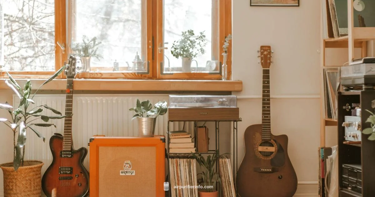 Xiaomi vs Sterra - Air Purifier Info