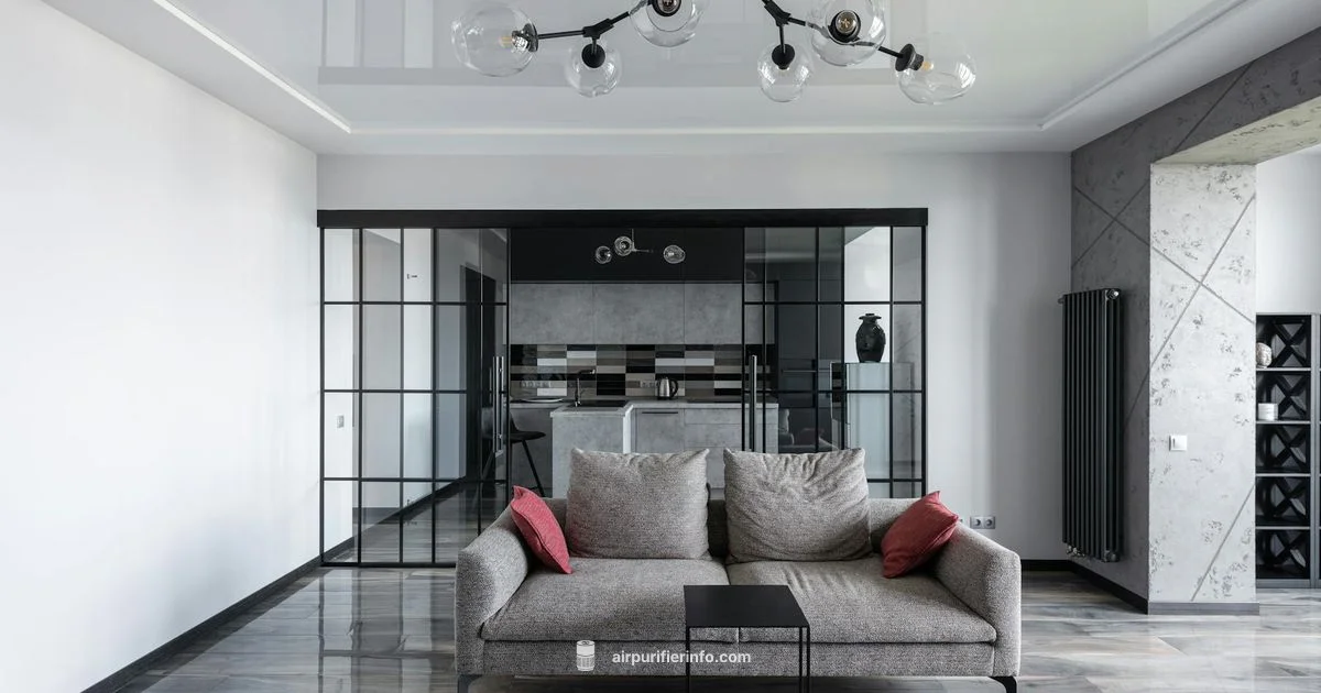 German Purifier Spotlight - Air Purifier Info