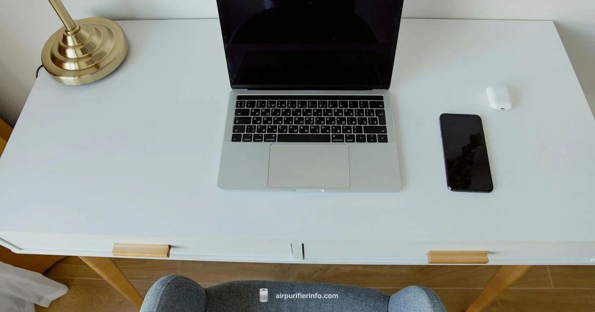 Compact purifier review - Air Purifier Info