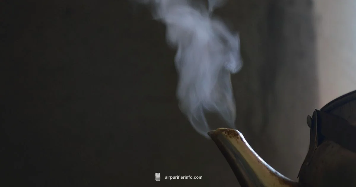 Cooking Smoke Purifier Guide - Air Purifier Info