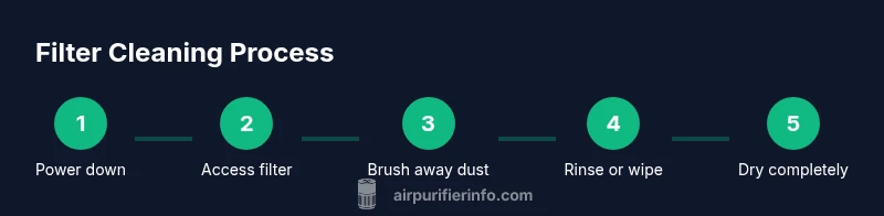 Process graphic showing steps to clean an air purifier filter without vacuum