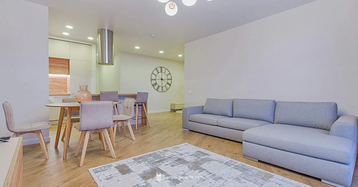 Largest Home Purifier - Air Purifier Info