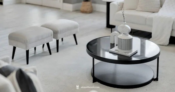 Smart Air Blast MKII Review - Air Purifier Info