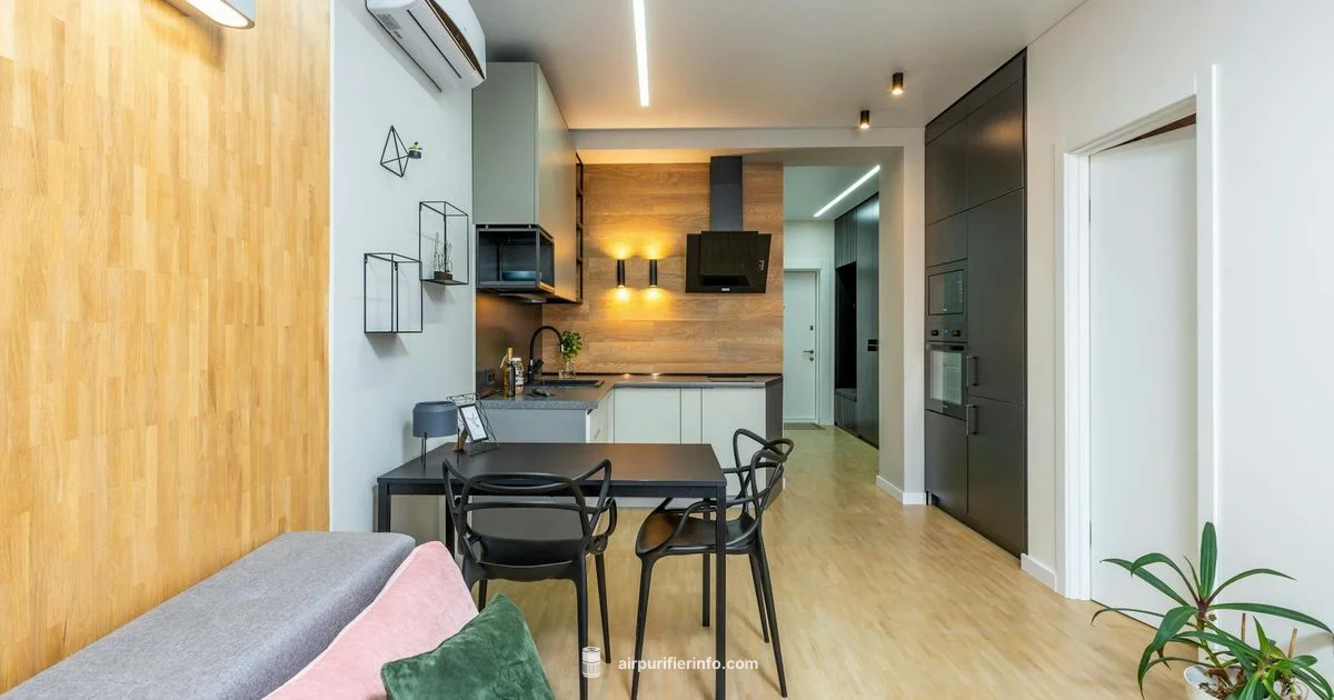 Blue Pure 411 Review - Air Purifier Info