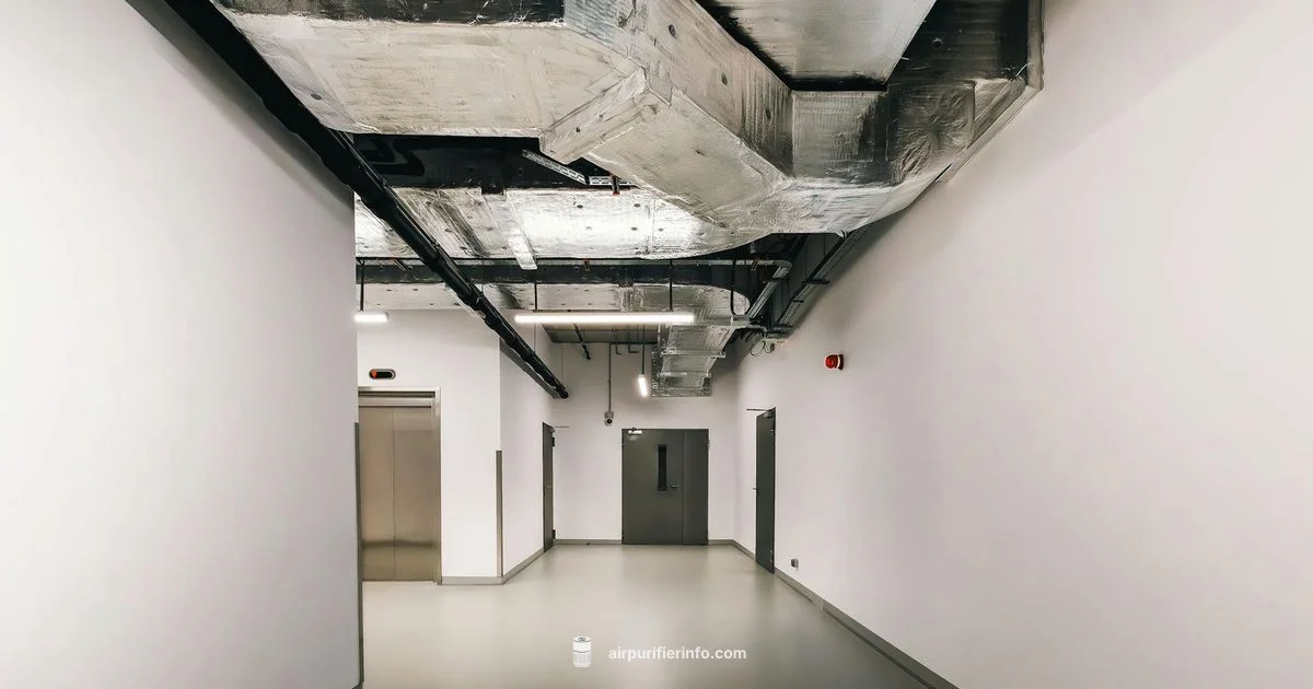 Whole House Purifier Setup - Air Purifier Info