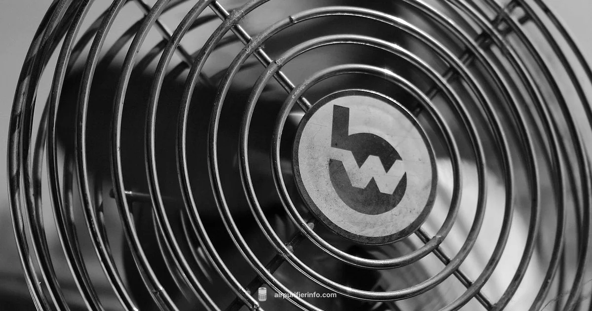 Dyson Cooling Guide Dyson Cooling Guide - Air Purifier Info