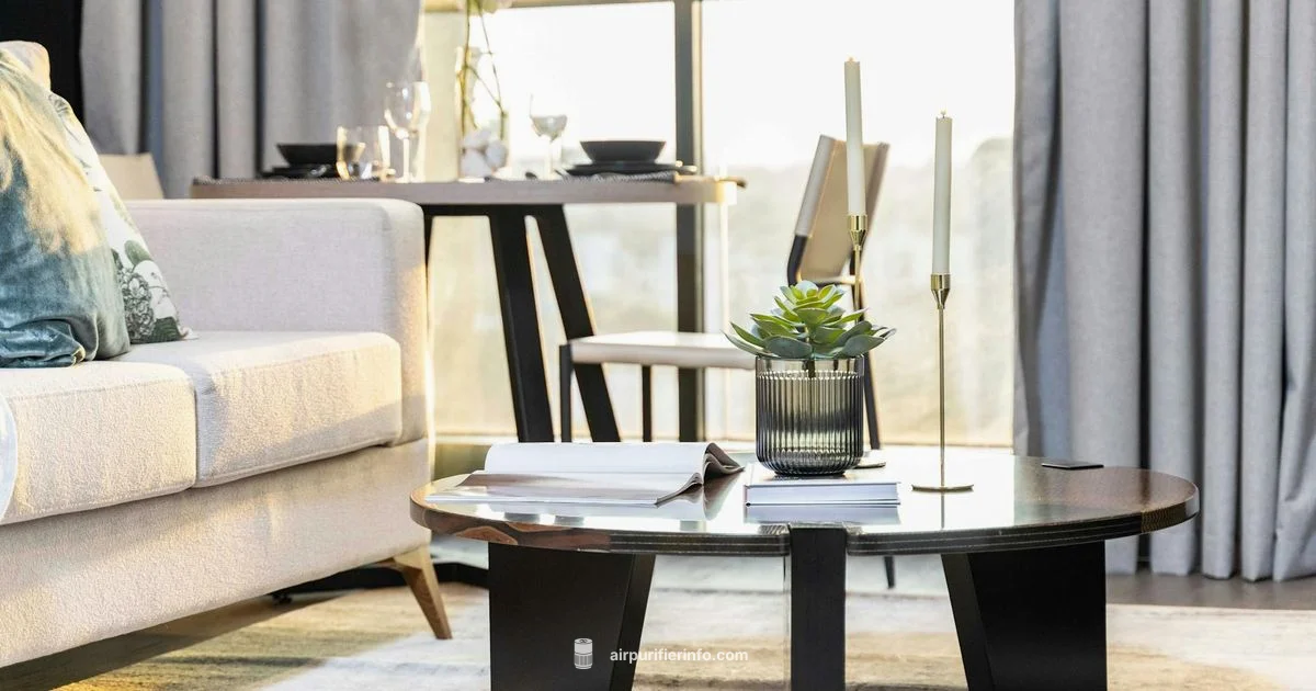Clean Air, Calm Home - Air Purifier Info