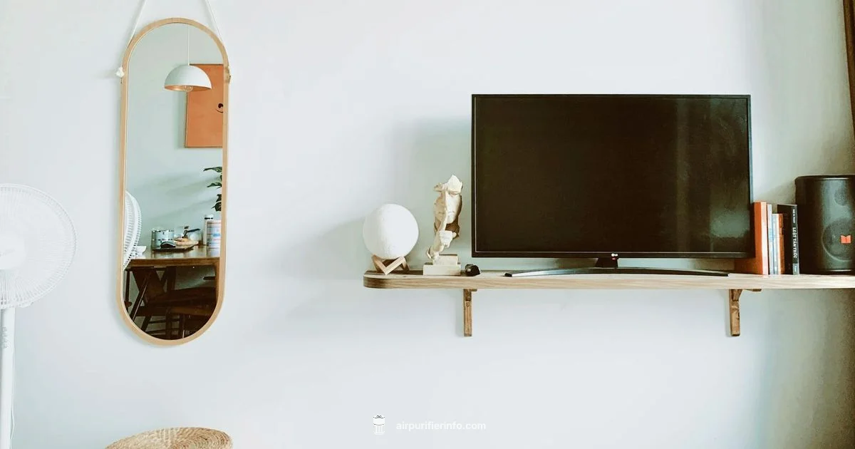 Clear Air Choices - Air Purifier Info