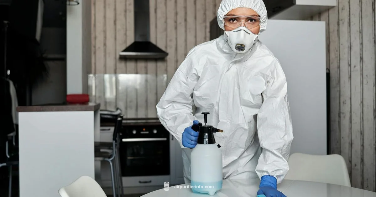 Clorox Setup Guide - Air Purifier Info