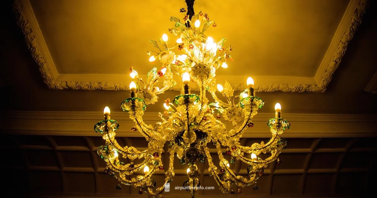 UV Purifier Guide UV Purifier Guide - Air Purifier Info